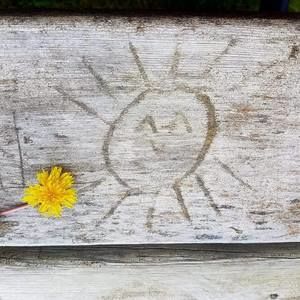 Meet your Posher, Shelly